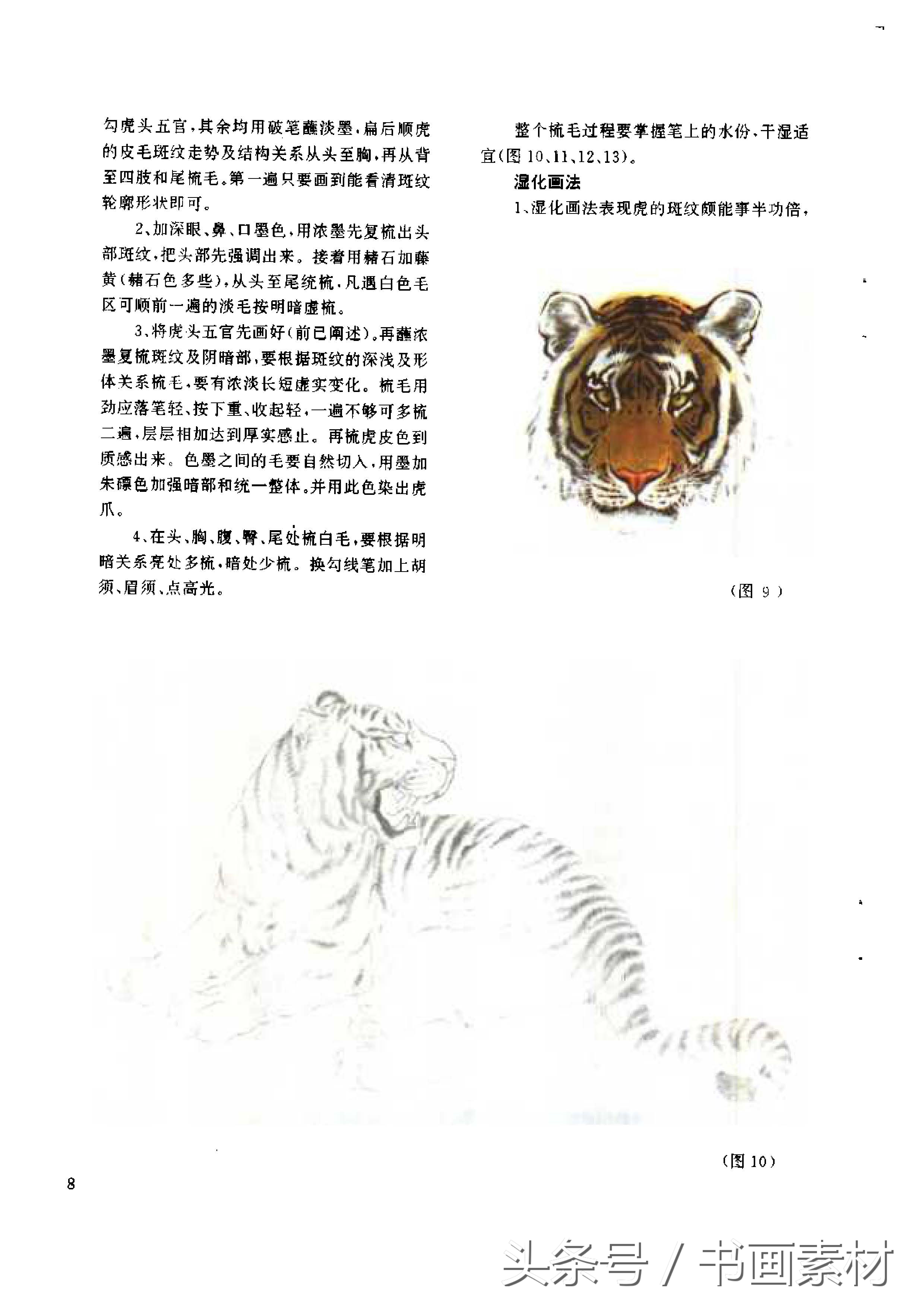 各大名家画虎方法教程,国画虎的绘画方法