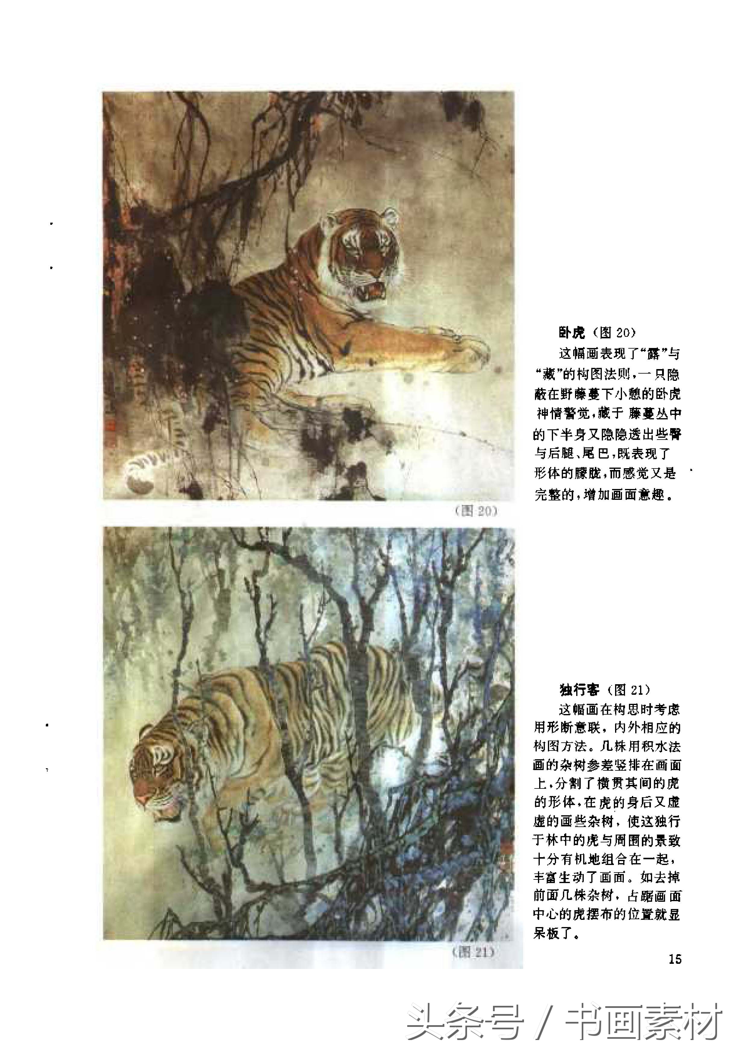各大名家画虎方法教程,国画虎的绘画方法