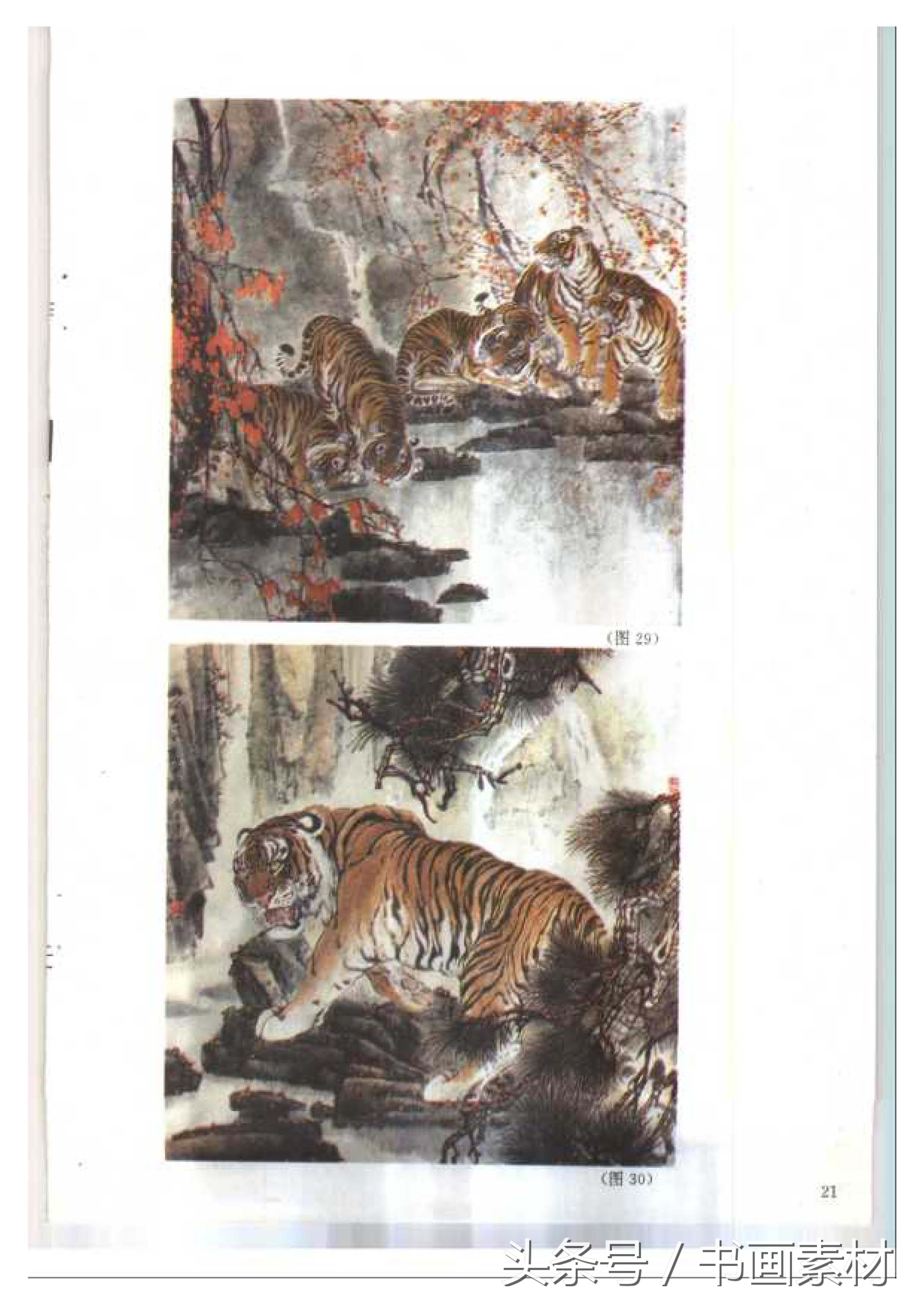 各大名家画虎方法教程,国画虎的绘画方法