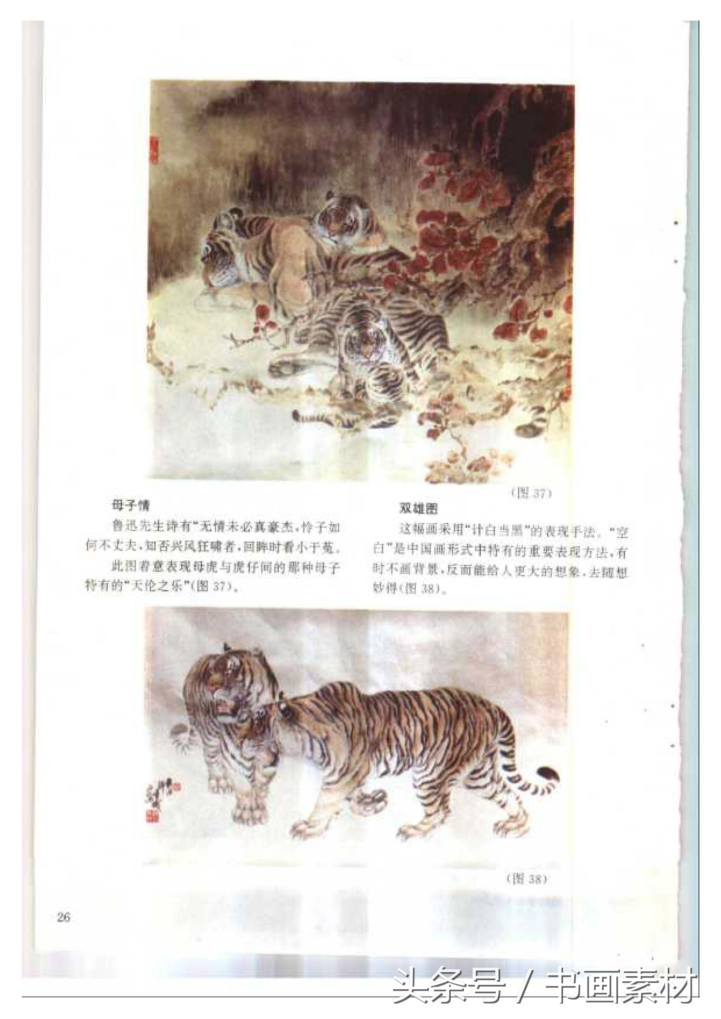 各大名家画虎方法教程,国画虎的绘画方法