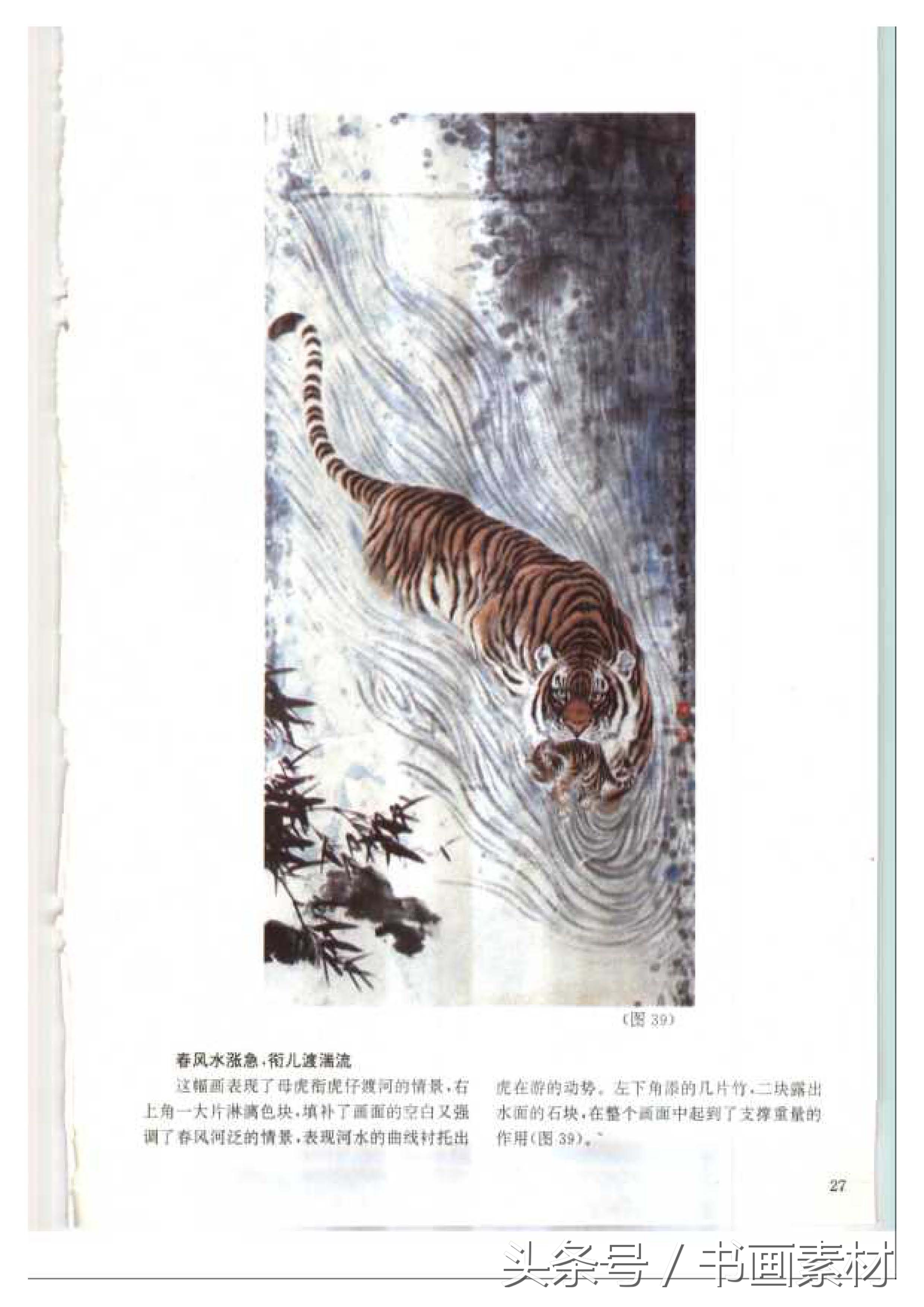 各大名家画虎方法教程,国画虎的绘画方法