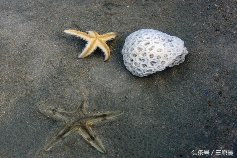 赏过花、看过海这个春天才完美，被人遗忘的官湖角正等着你的脚印