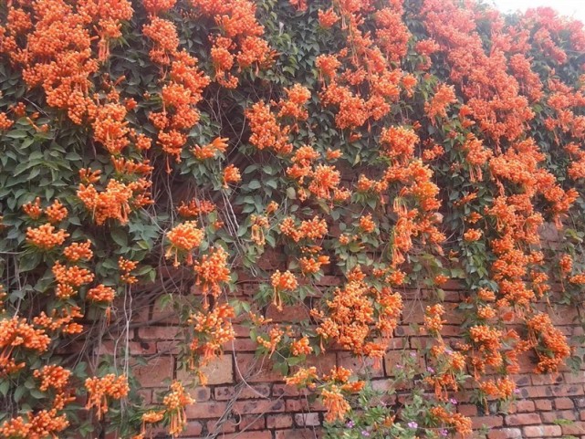 第一次去佛山旅行,第一次到佛山