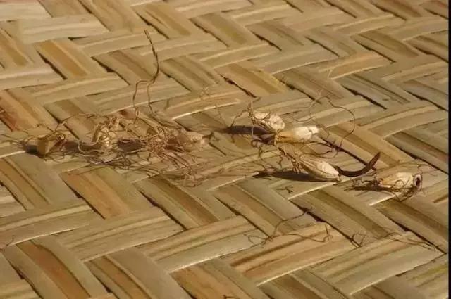 小儿积食腹痛家长应对,小儿积食教宝妈如何消除