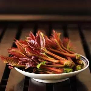 菜谱做法创意香椿菜品八款,香椿芽做法菜品