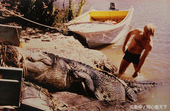 世界上最大的鳄鱼前三名,世界上最大的鳄鱼怎么画