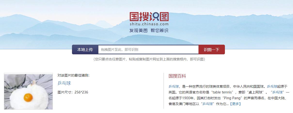 一张猫咪和橘子的照片，各家搜索引擎能识别出来吗？