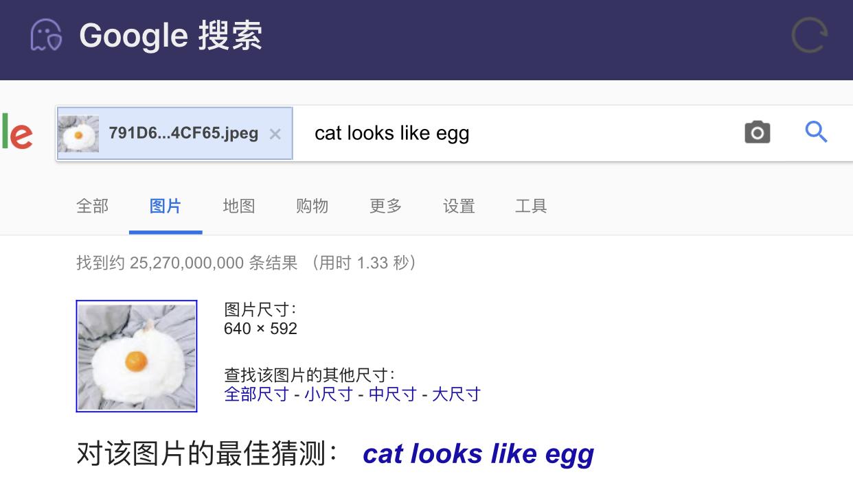 一张猫咪和橘子的照片，各家搜索引擎能识别出来吗？