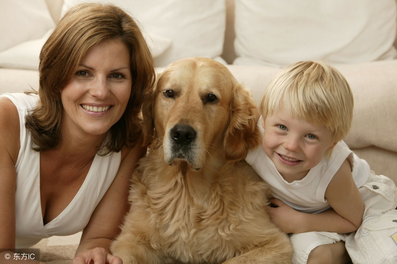 养狗的人和养猫人的性格,喜欢养猫的人和养狗的人