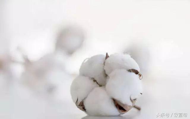 过去一周,这些致富锦囊请拿走不谢!