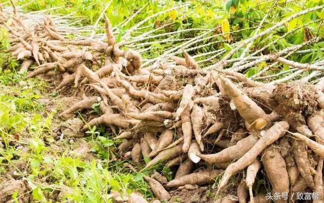 过去一周,这些致富锦囊请拿走不谢!