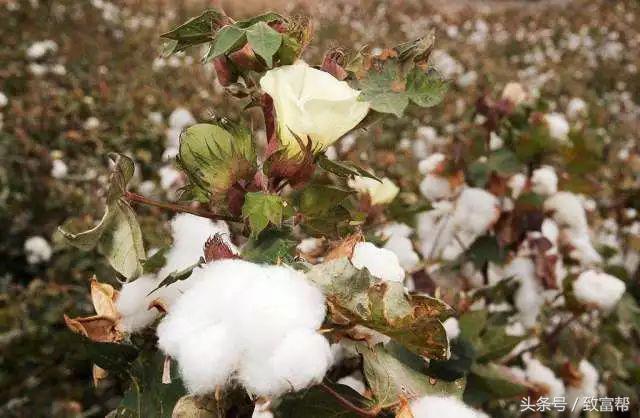 过去一周,这些致富锦囊请拿走不谢!