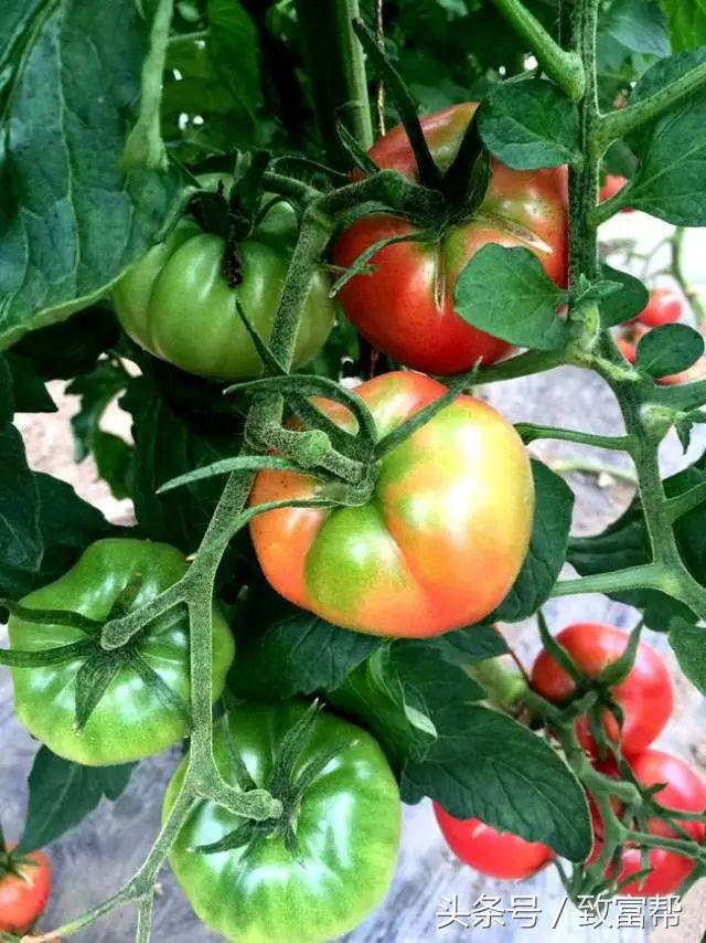 过去一周,这些致富锦囊请拿走不谢!