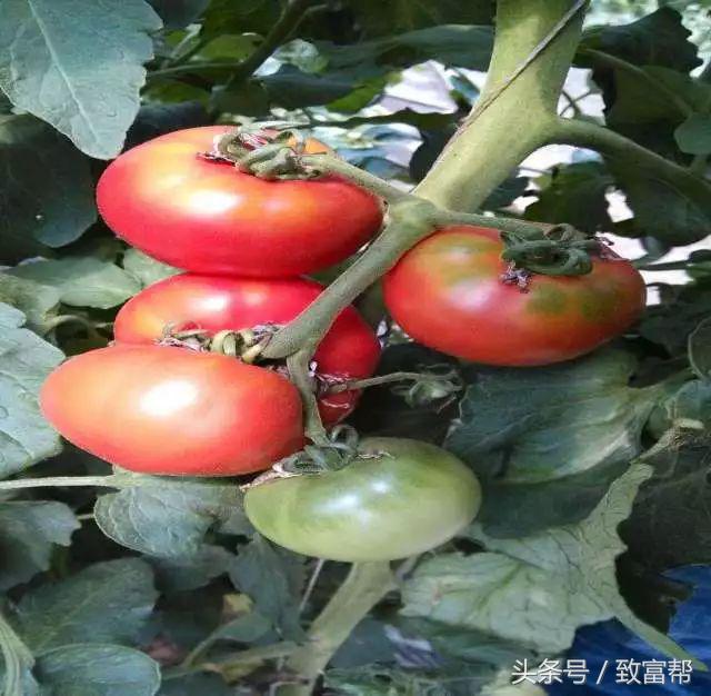 过去一周,这些致富锦囊请拿走不谢!