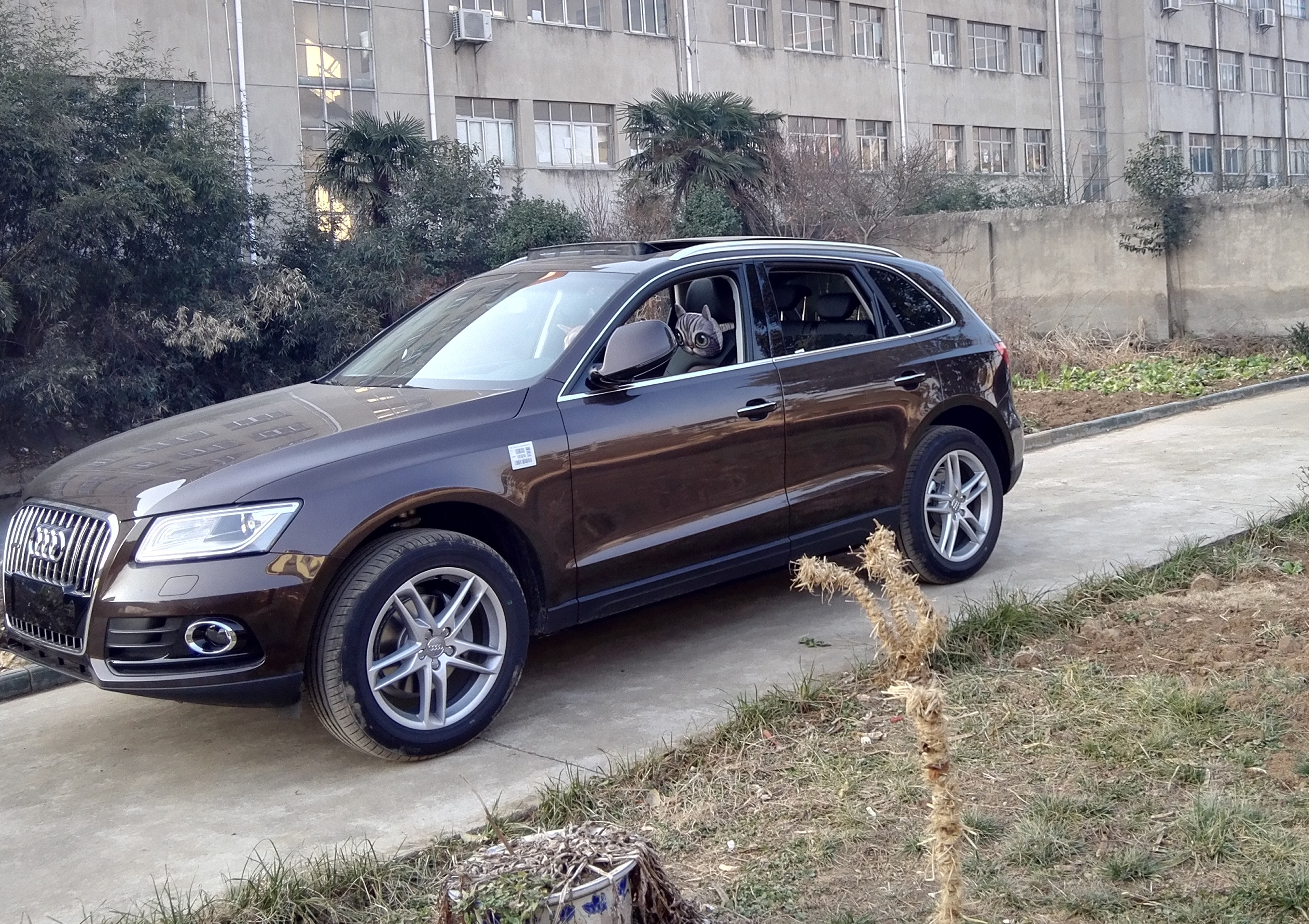 奥迪q5e-tron评测,开了10年的奥迪q5还值得入手吗