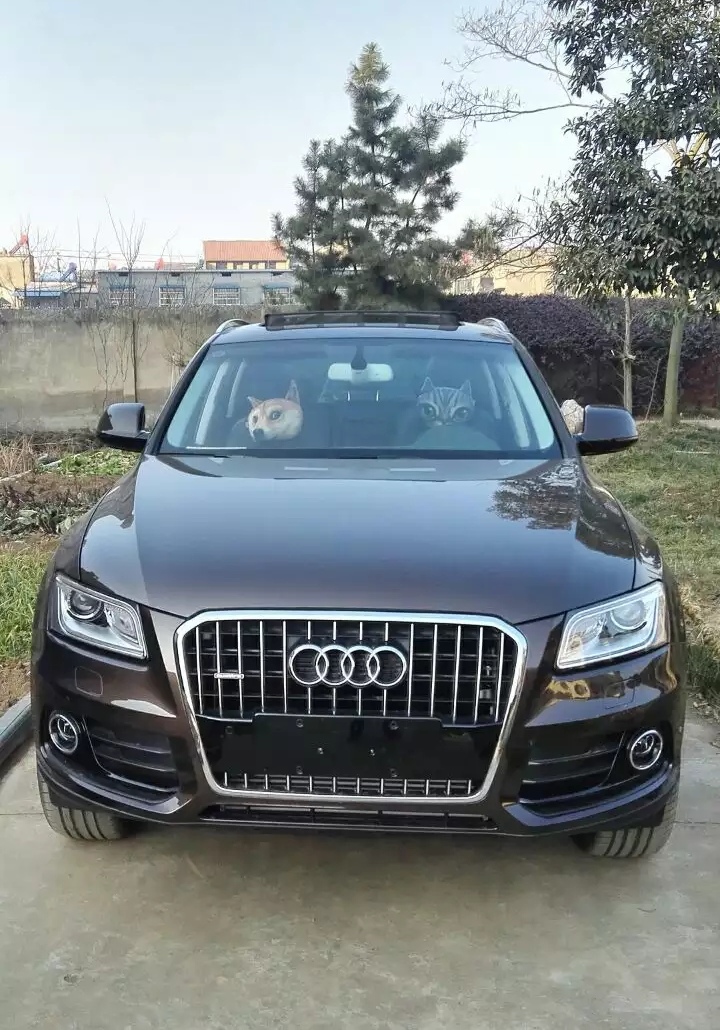 奥迪q5e-tron评测,开了10年的奥迪q5还值得入手吗