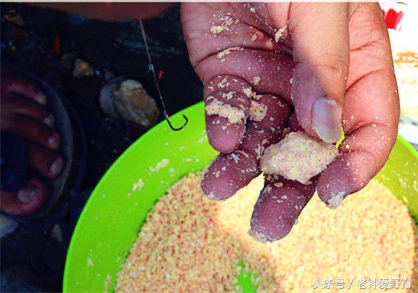 矶钓钓鲢鳙调漂详细教程,垂钓鲢鳙鱼天气降温钓深还是钓浅