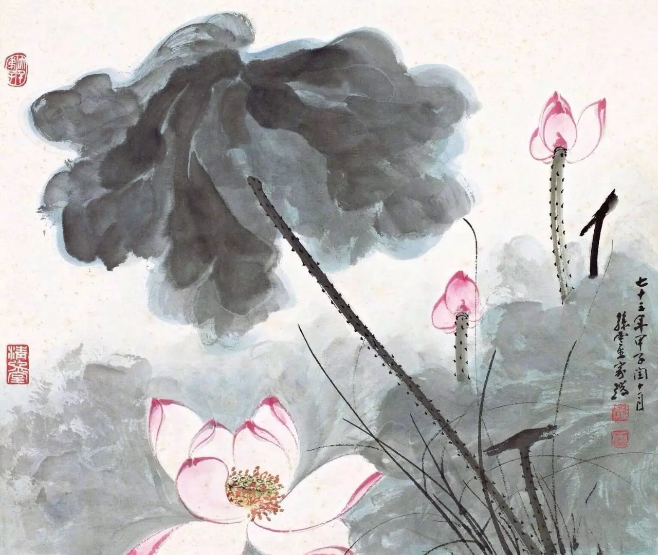 荷为君子之花，荷有和合之美