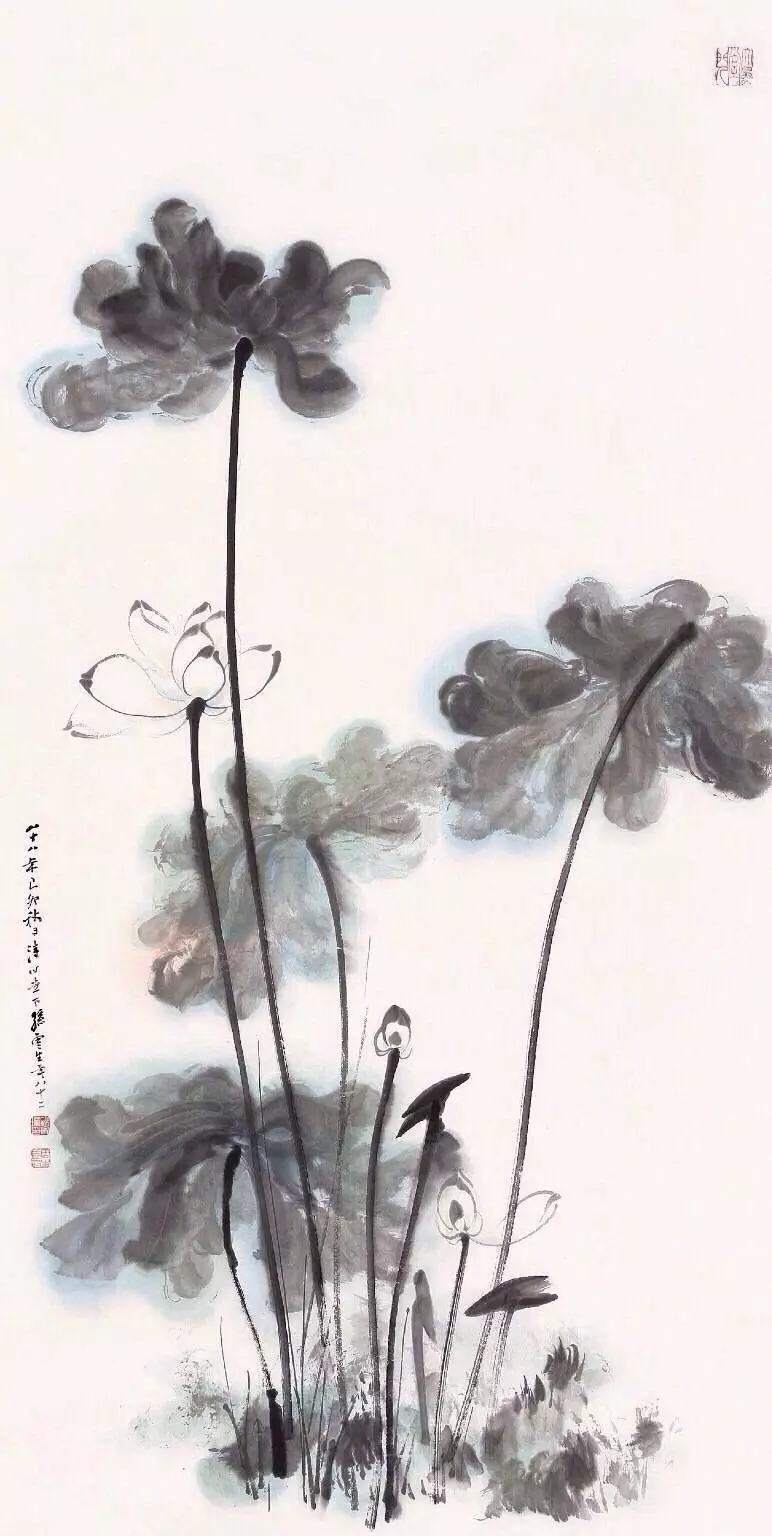 荷为君子之花，荷有和合之美