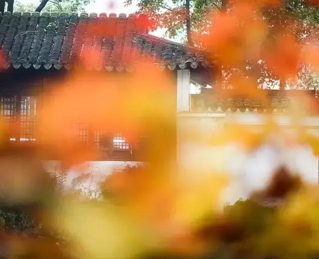 小窗幽记生活美学令人叹为观止,读小窗幽记经典语录