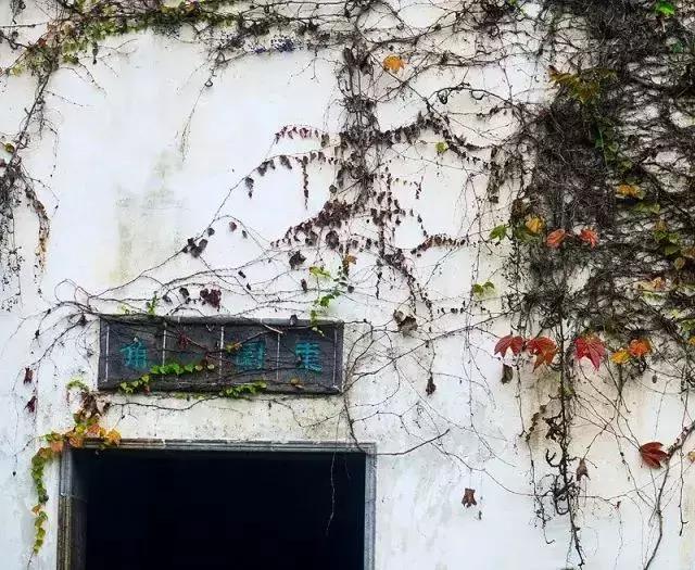 小窗幽记生活美学令人叹为观止,读小窗幽记经典语录