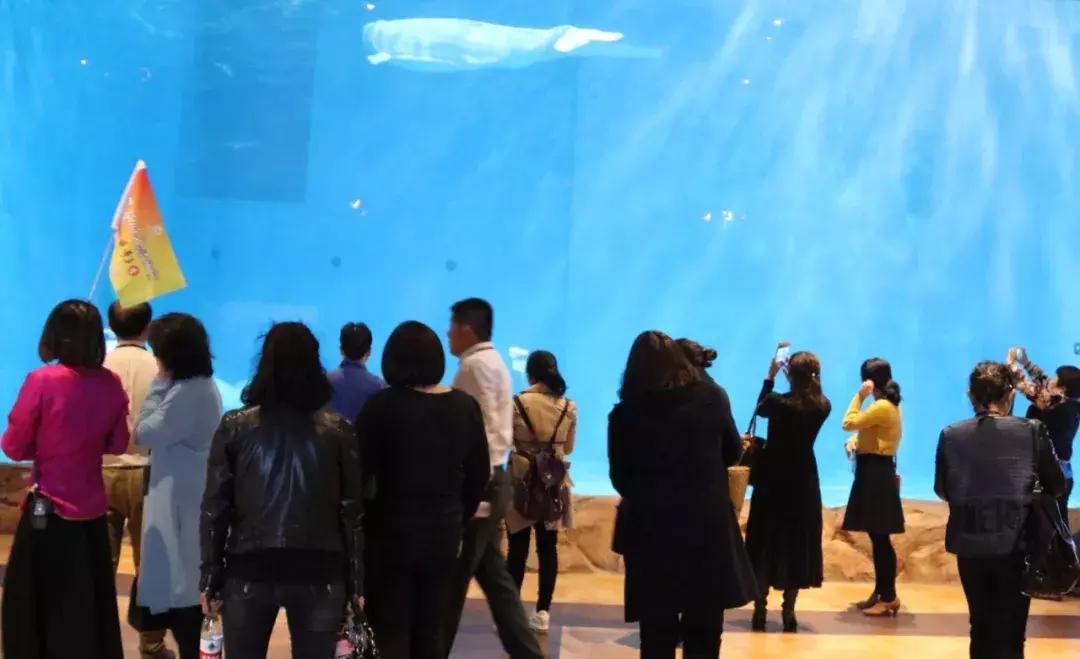 华夏文旅西安度假区免费入园,华夏文旅西安度假区激流勇进