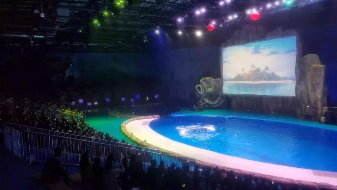 华夏文旅西安度假区免费入园,华夏文旅西安度假区激流勇进