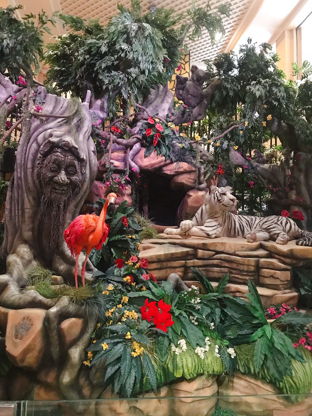 广州长隆野生动物园游玩攻略清单,广州长隆野生动物园亲子游攻略