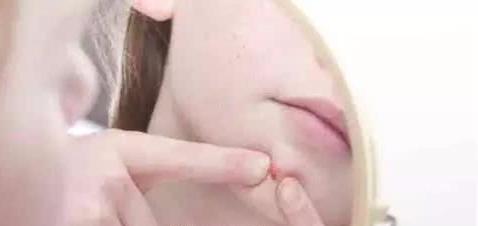 蹇犻箯鎶よ偆瑙嗛鍏ㄩ泦,蹇犻箯鎶よ偆