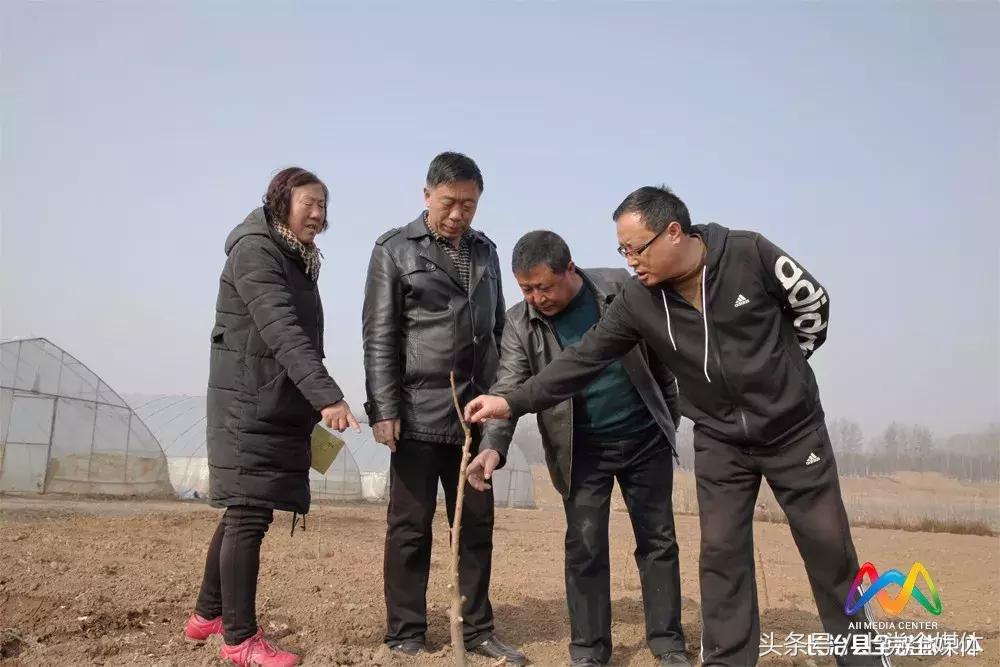 柳林屯乡土地流转,柳林经济转型