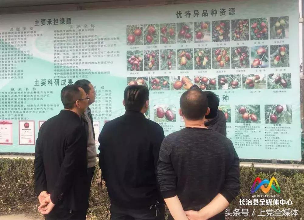 柳林屯乡土地流转,柳林经济转型