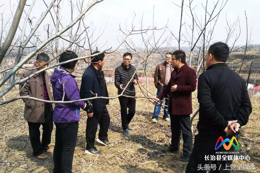 柳林屯乡土地流转,柳林经济转型