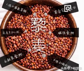 藜麦的种植技术,藜麦的种植条件