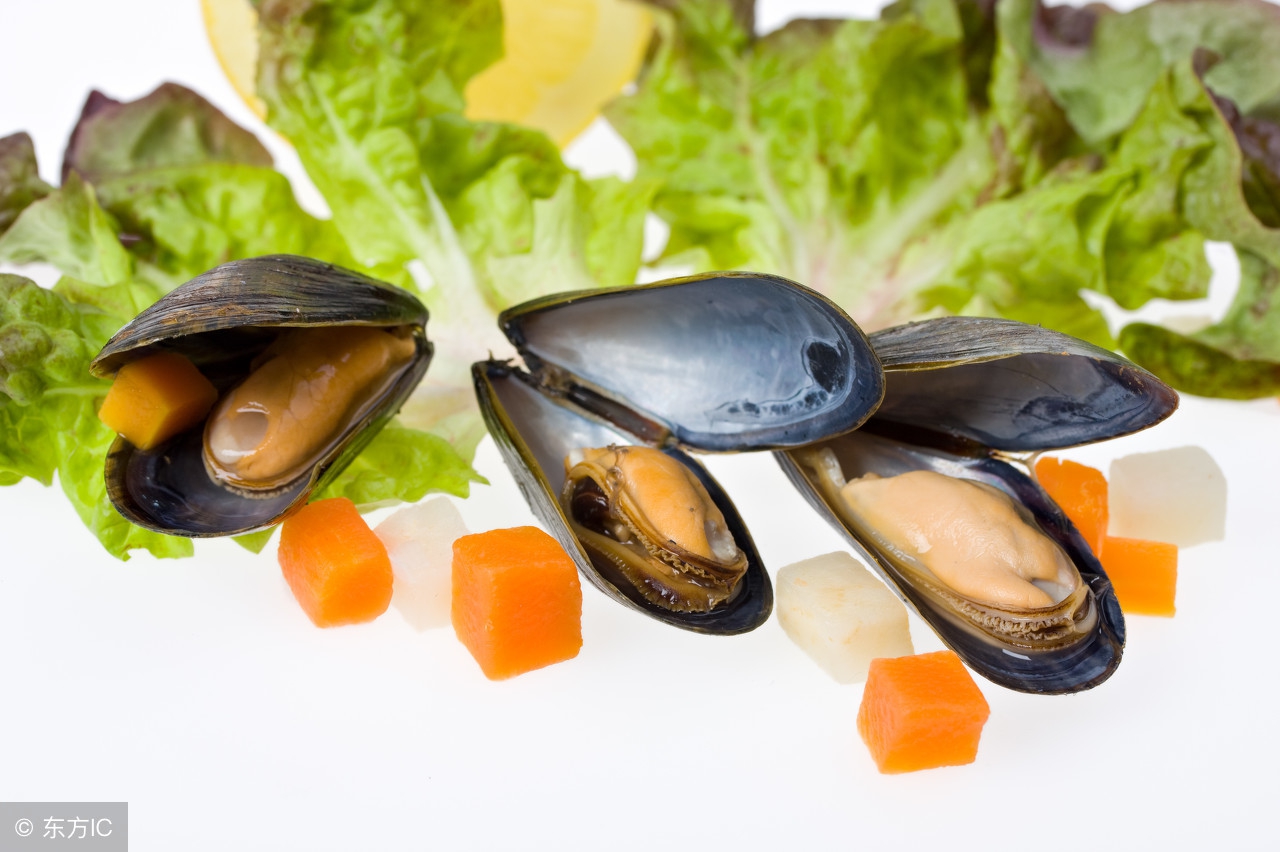 蛤蜊怎么做好吃儿童,蛤蜊怎么做好吃视频教程