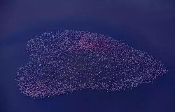 戏剧名人堂丨特立独行的她，活成了很多人想要的样子