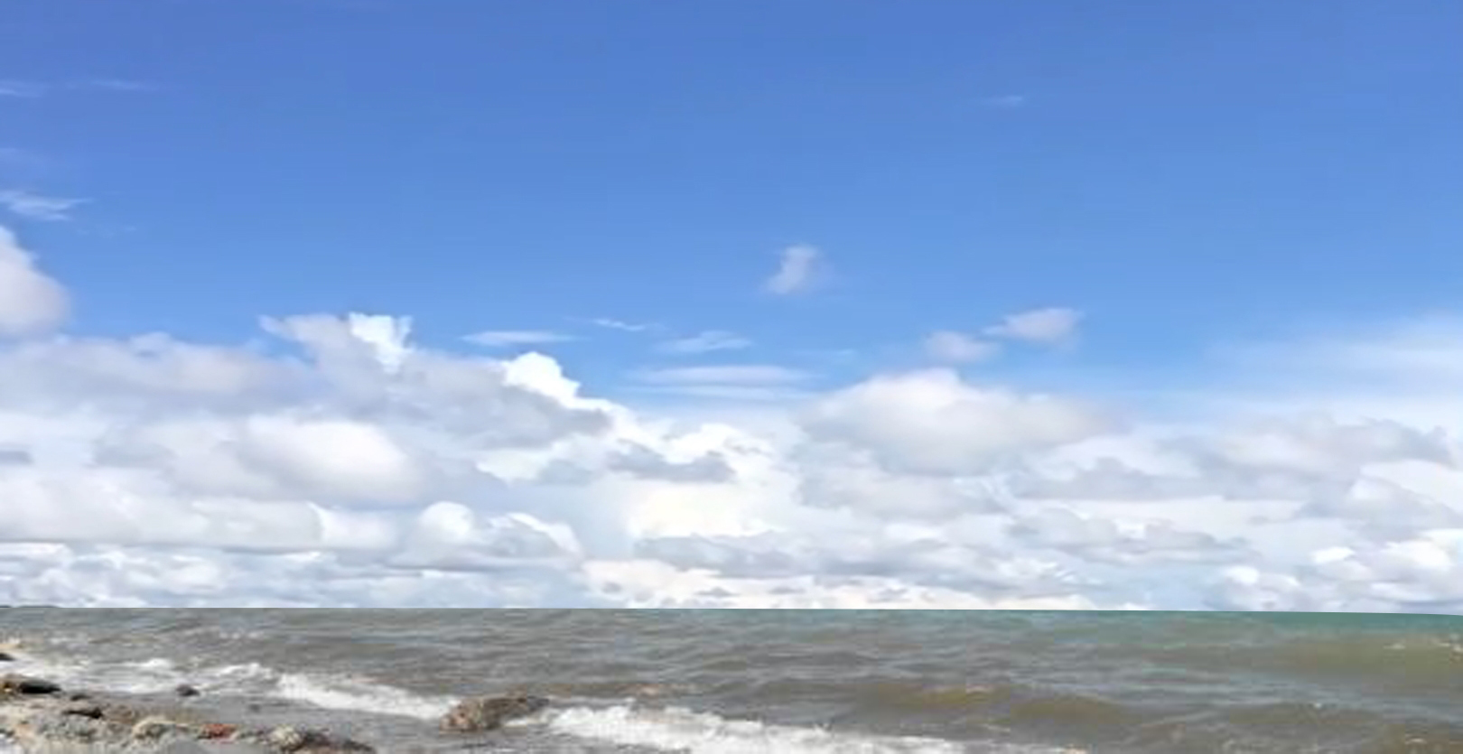 武昌理工学院樱花,武昌理工学院滚烫的青春