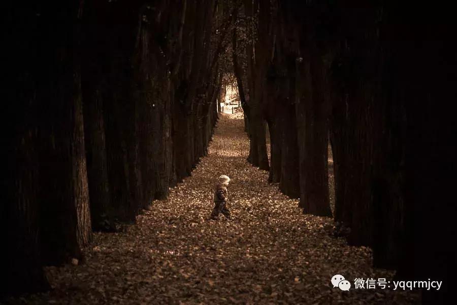 花季少女性侵案件,13岁女孩子被强迫卖淫一案