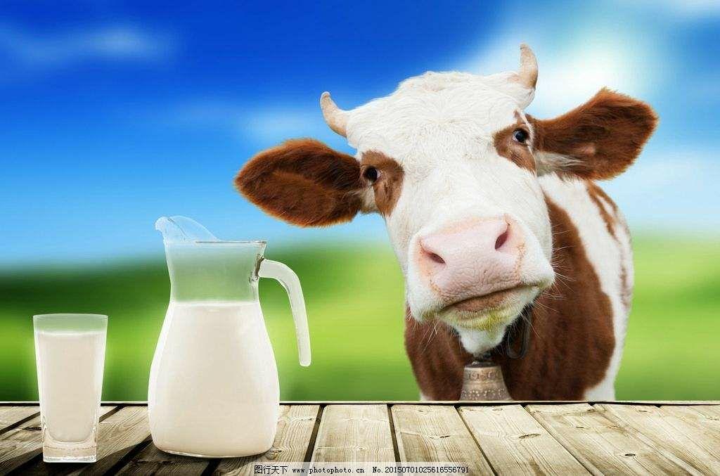 市场上卖的乳铁蛋白是真的吗,十大不建议买的乳铁蛋白