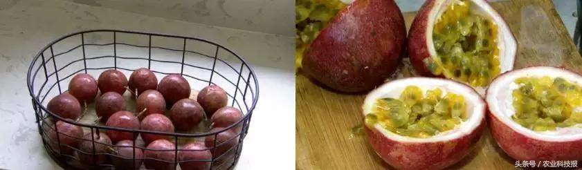 生鲜次品如何销售,次品怎么在淘宝网上卖