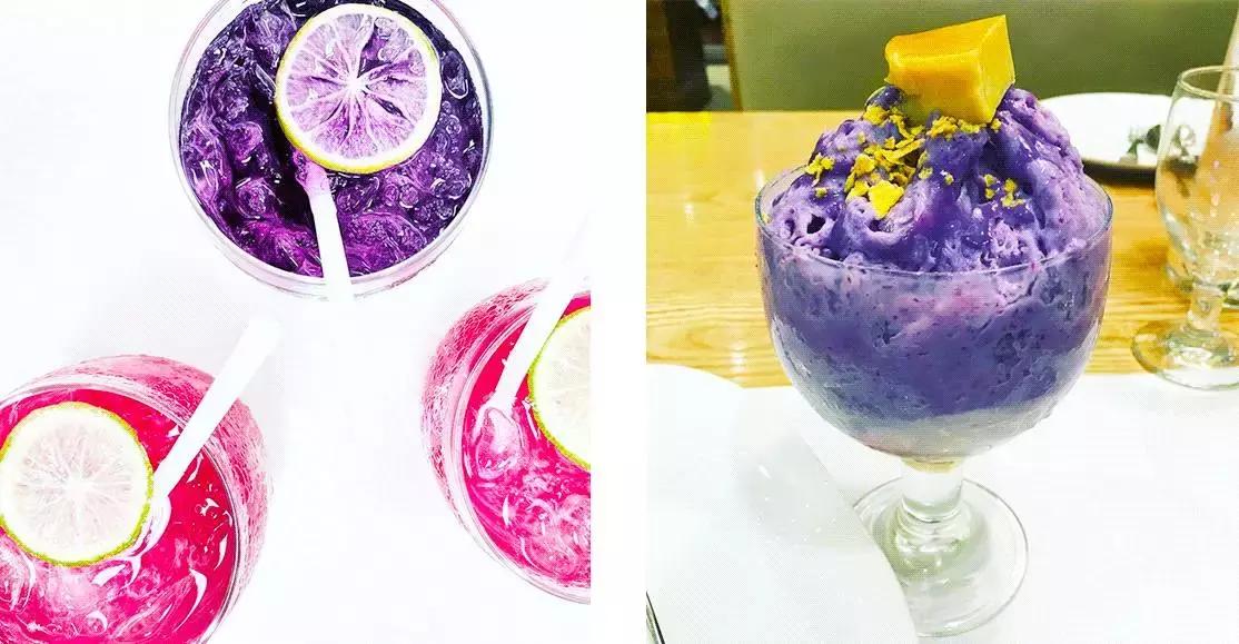 紫色控搭配,紫色控