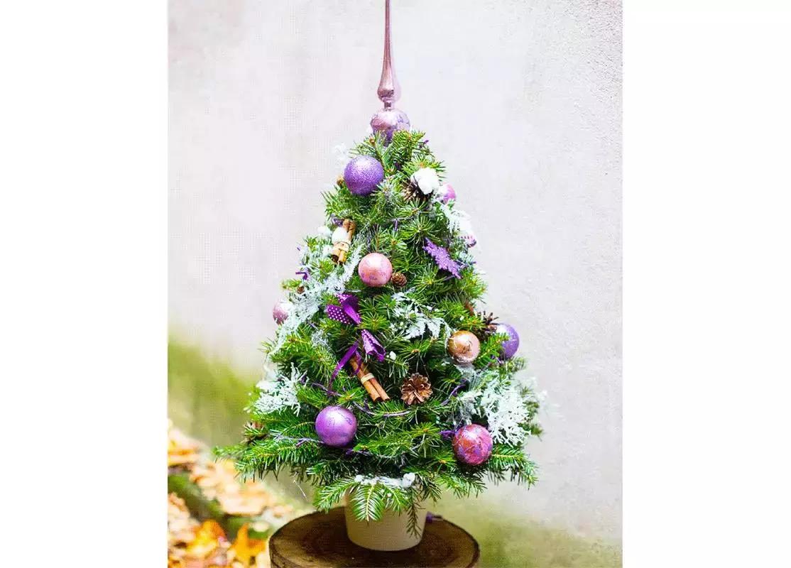 紫色控搭配,紫色控