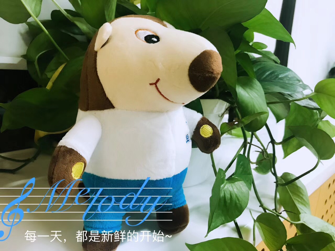 月入2万的10个小生意怎么样,月入5万的10个小生意实操