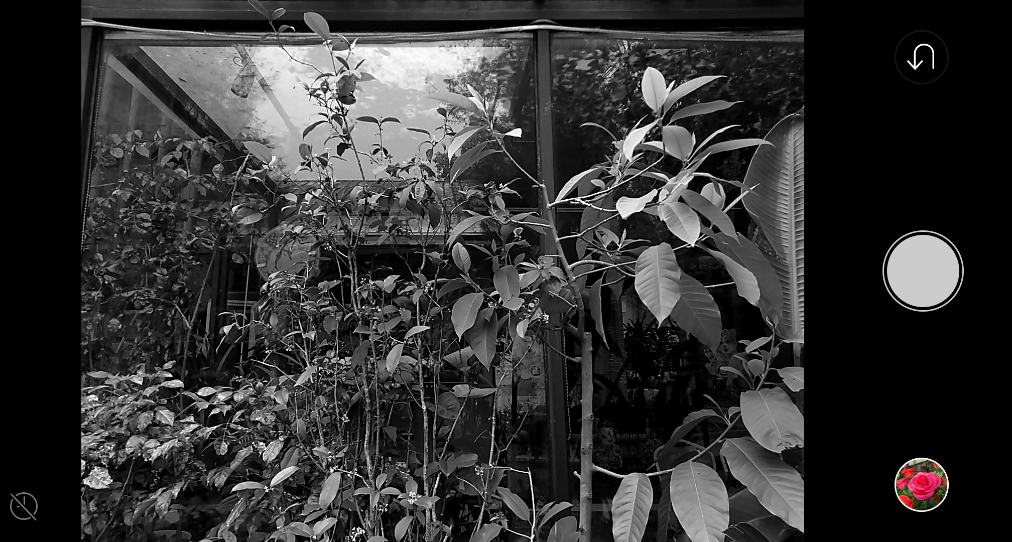 999元的5g机值得买吗,999块钱能买到什么好手机