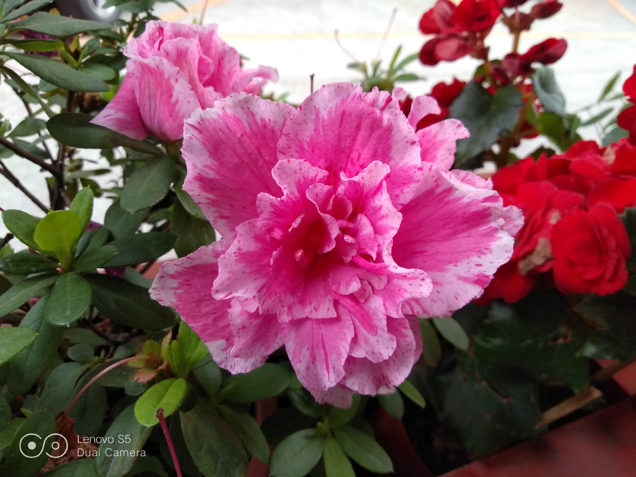 999元的5g机值得买吗,999块钱能买到什么好手机