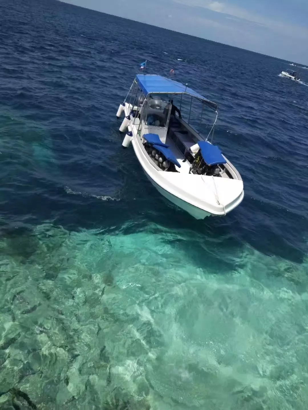 仙本那和印度尼西亚潜水哪个更好,仙本那世界潜水圣地