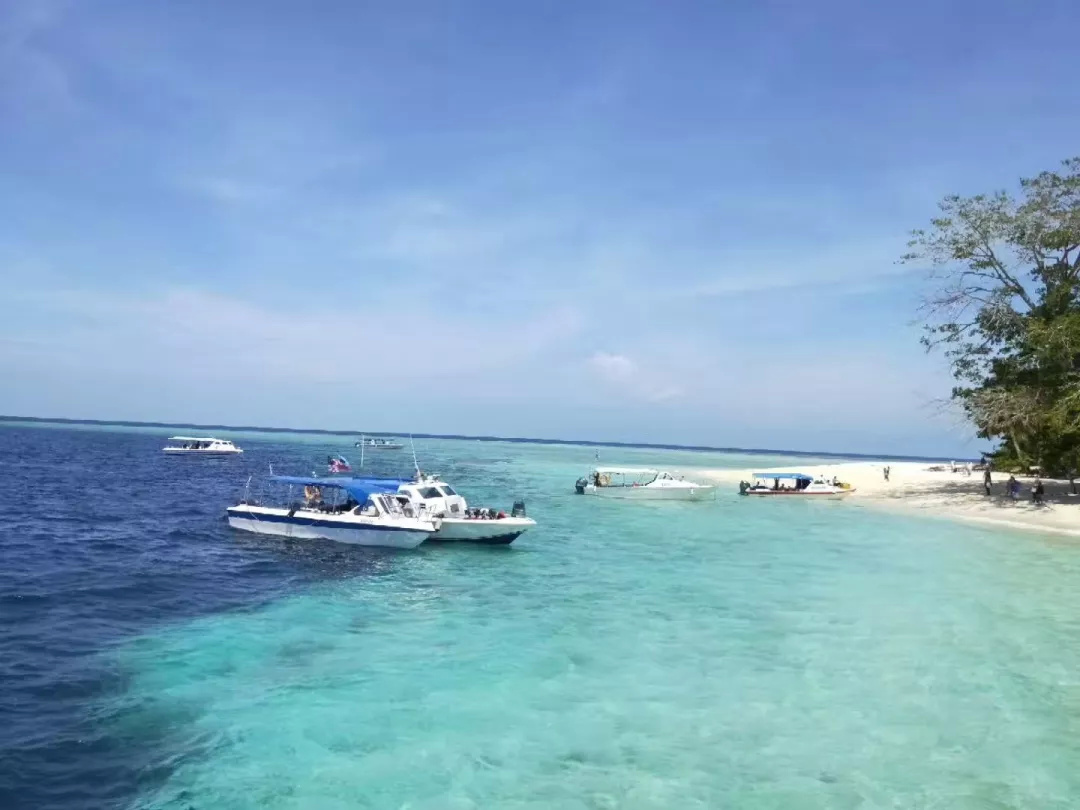 仙本那和印度尼西亚潜水哪个更好,仙本那世界潜水圣地