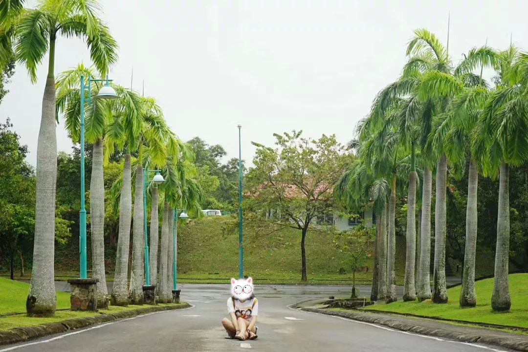 仙本那和印度尼西亚潜水哪个更好,仙本那世界潜水圣地