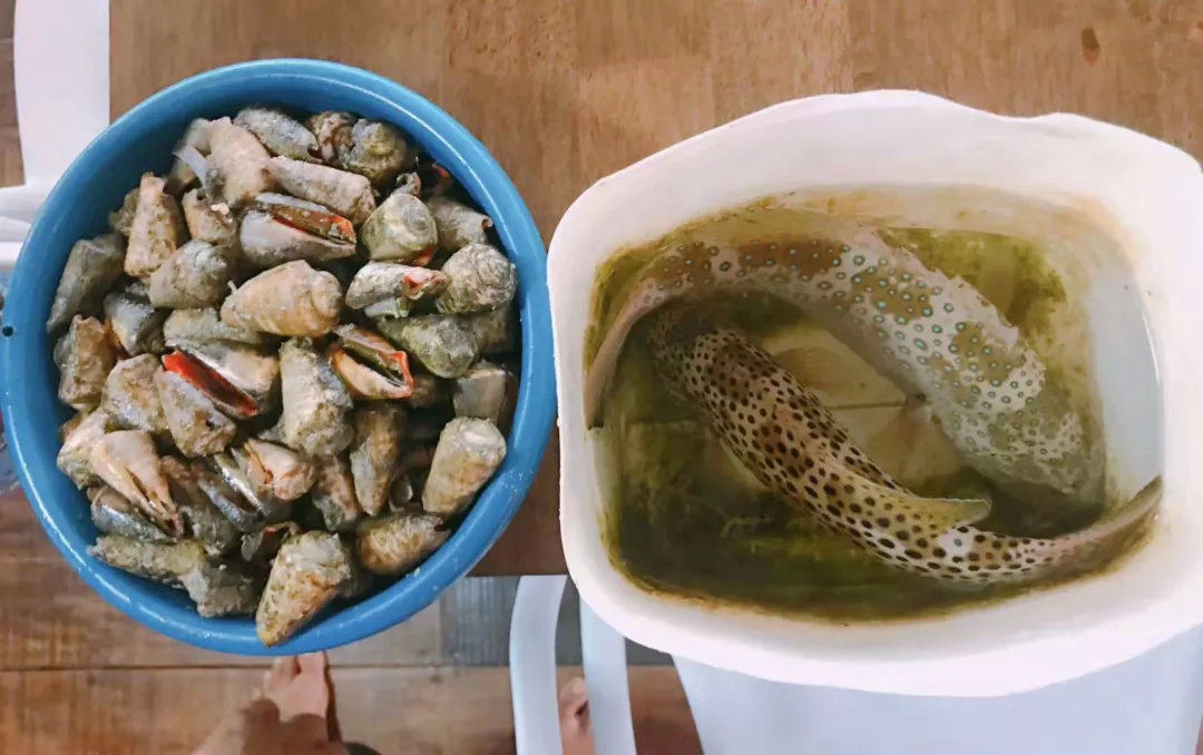 仙本那和印度尼西亚潜水哪个更好,仙本那世界潜水圣地