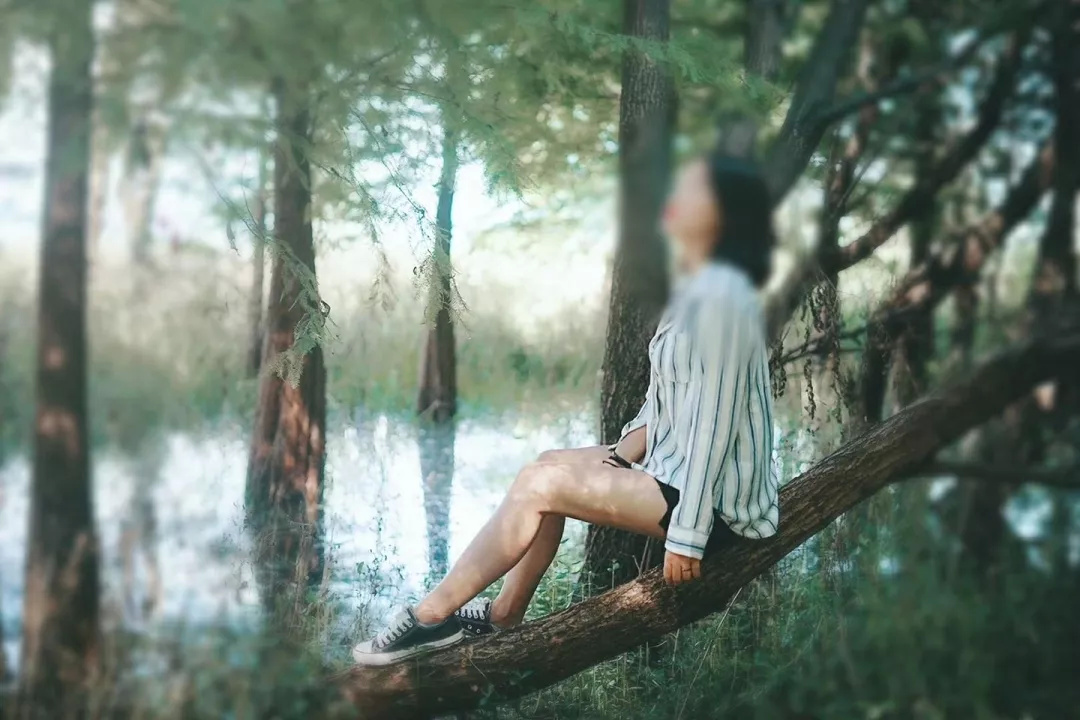 仙本那和印度尼西亚潜水哪个更好,仙本那世界潜水圣地