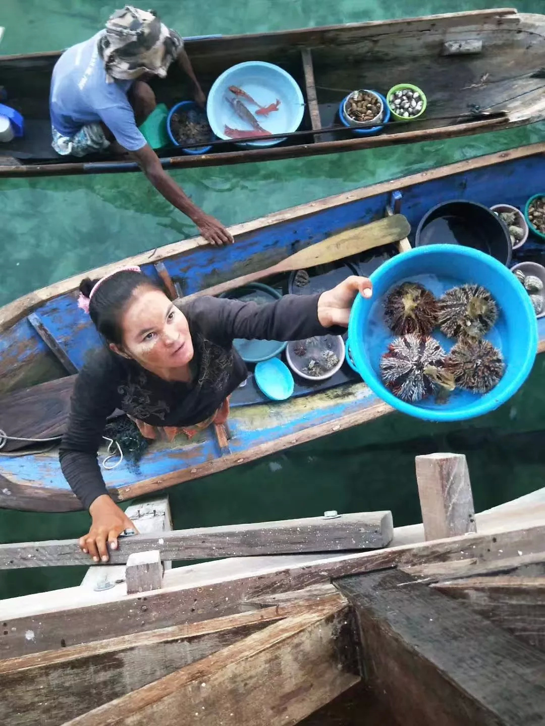 仙本那和印度尼西亚潜水哪个更好,仙本那世界潜水圣地